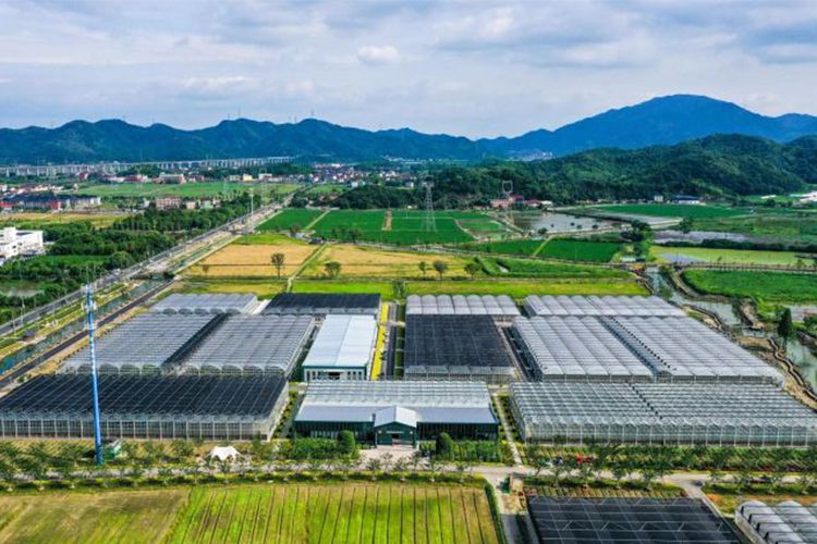 杭州现代农业基地