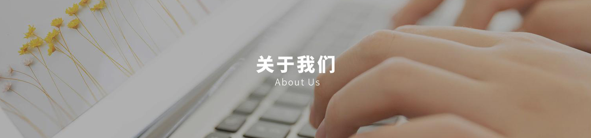关于我们